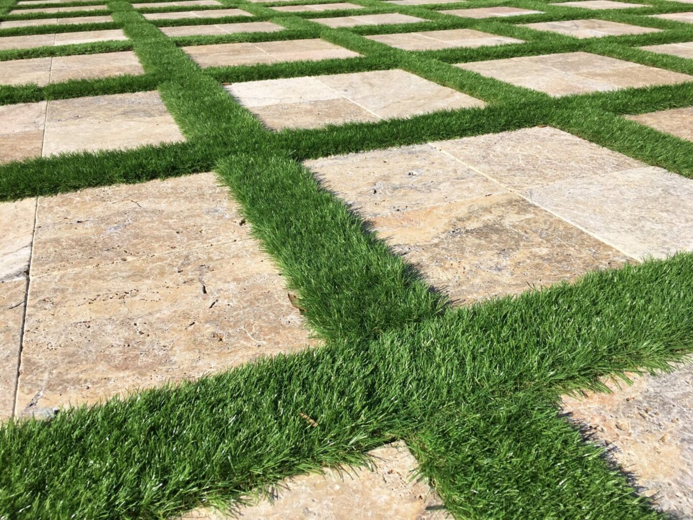 A close up of grass on the ground