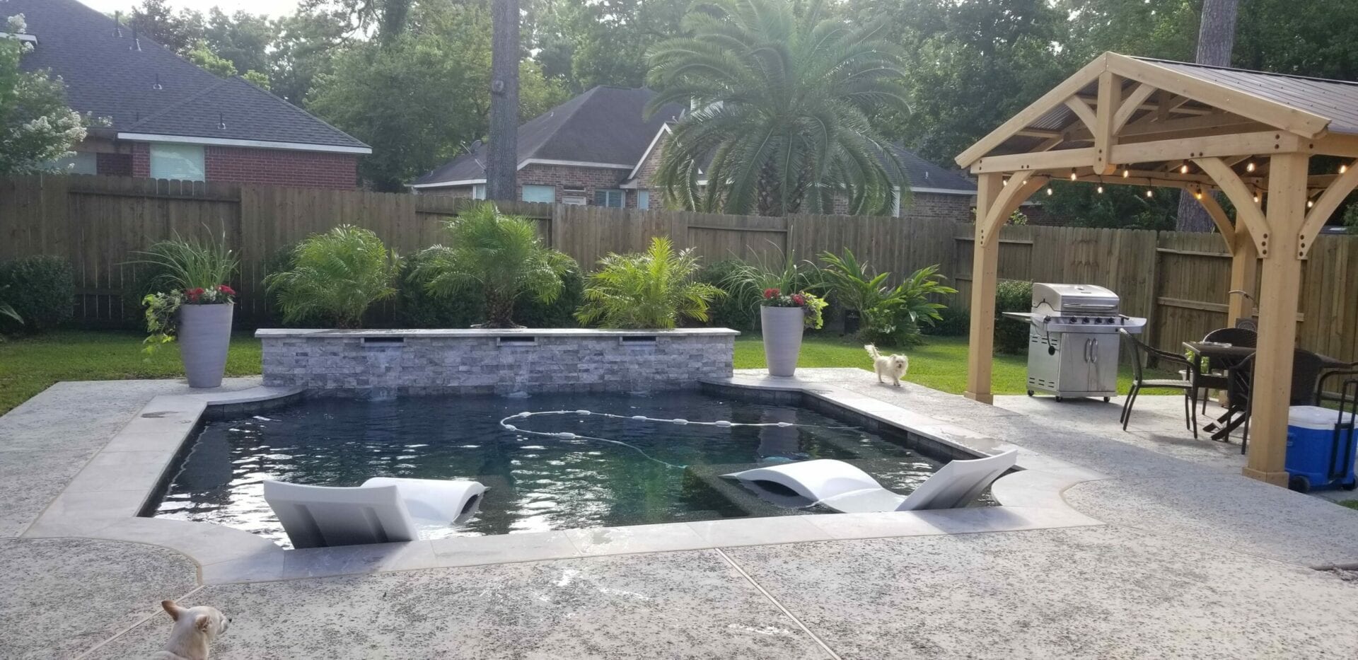 A pool with a dog sitting in it