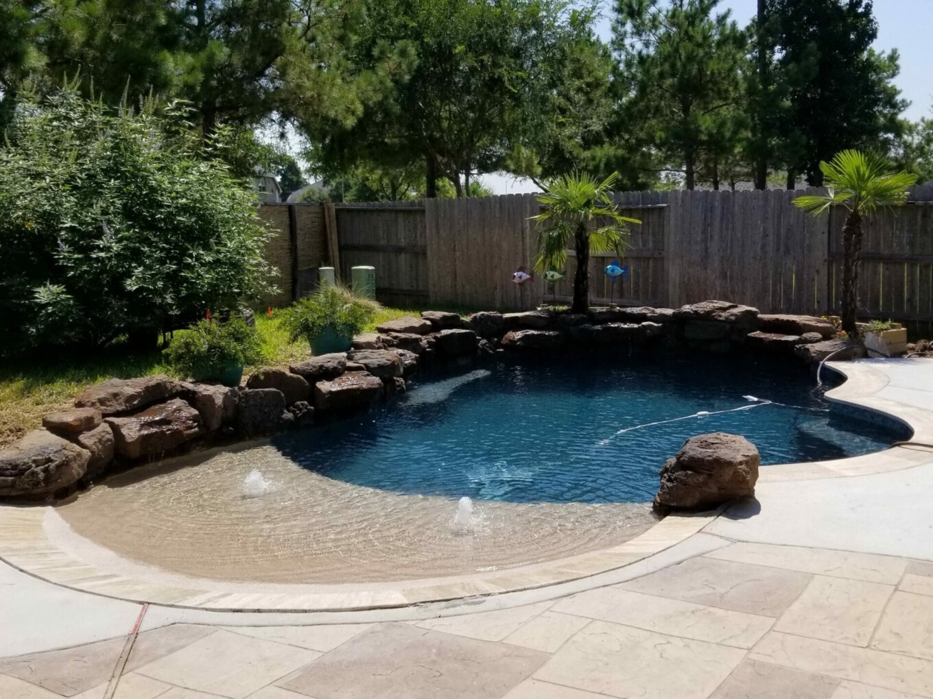 A pool with rocks and plants in the back yard